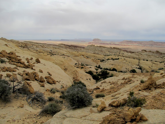 View down the Reef into the flat desert