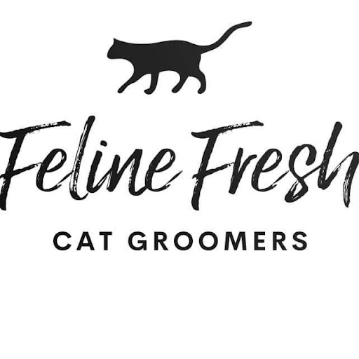 Furtastic cat and dog grooming logo