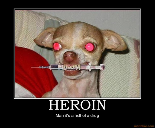 Heroin Dog!