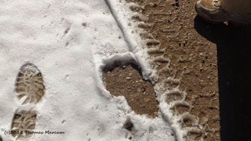 Possible Bigfoot Snow Tracks