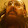 Rick Wolf Rick Wolf's profile photo