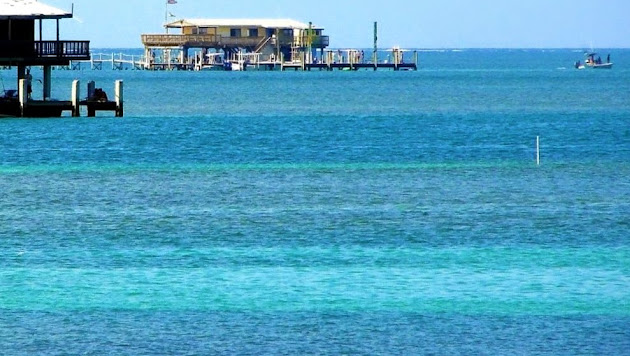 Cover photo