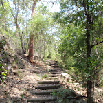 Steps on Sphinx Walking track (119308)