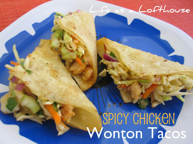 Spicy Chicken Wonton Tacos are delicious Asian-inspired chicken tacos that are full of flavor. Life-in-the-Lofthouse.com