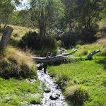 Little Murray Creek