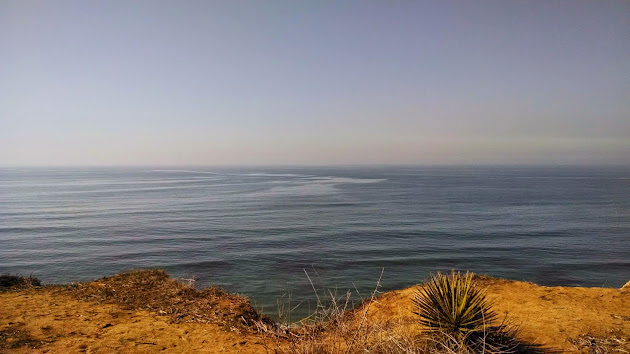 Cover photo