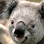 Reviewer Profile Image