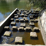 Fish Ladder at the weir (346657)