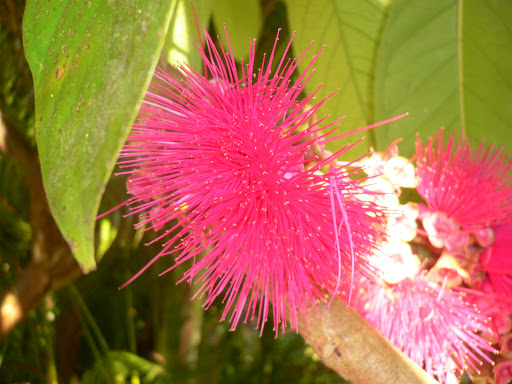 Excursions Guadeloupe avec Monique