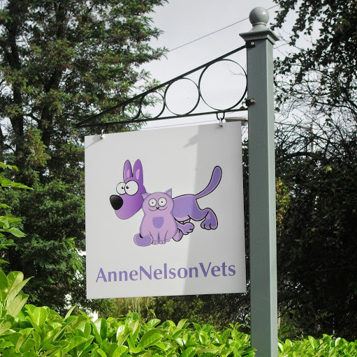 Anne Nelson Vets logo