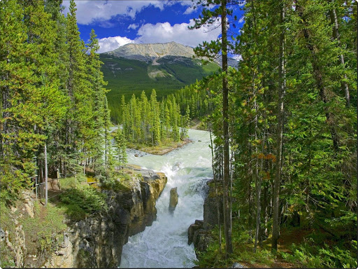 Sunny Sunwapta Falls, Jasper National Park, Alberta, Canada.jpg