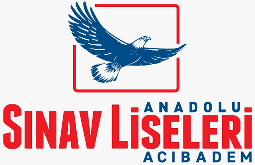 ÖZEL SINAV ACIBADEM ANADOLU LİSESİ logo