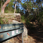Entering Garigal National Park (130303)