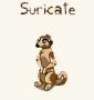 Suricate Suricate