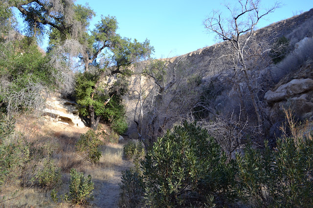 down in the bottom of White Ledge Canyon