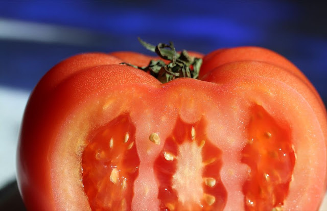 closeup of the inside of a tomato
