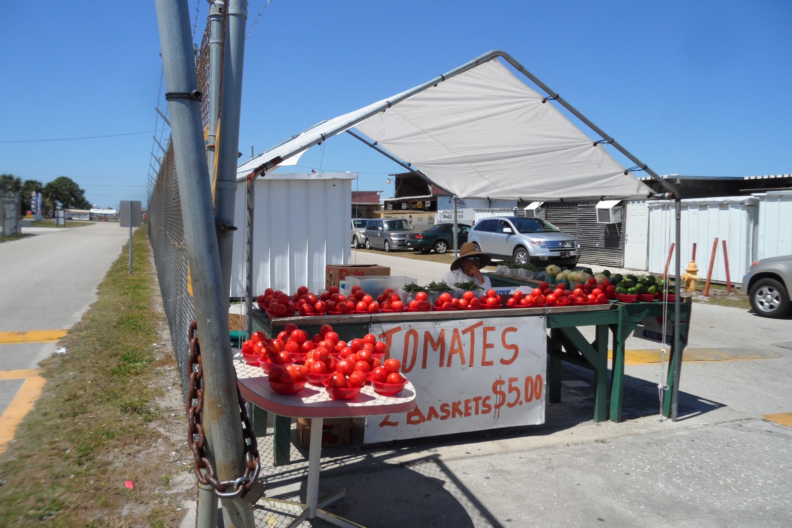 R and R travels Fleamaster Fleamarket, Fort Myers, FL