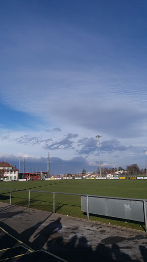 Signal FC Bernex-Confignon