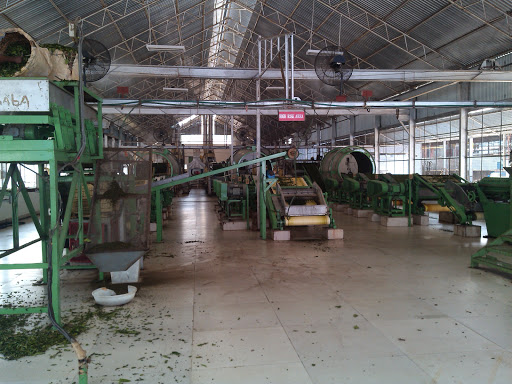 HM Traders, Rupnagar, Ratanpur, Dibrugarh, Assam 786003, India, Wholesaler, state AS