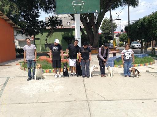 Escuela Canina Texcoco, Calle Ciruelos 6, San Martin, 56199 Texcoco de Mora, Méx., México, Entrenador de mascotas | EDOMEX