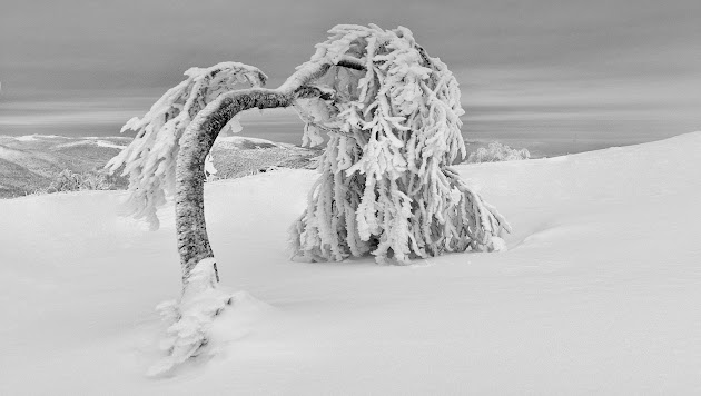 Cover photo