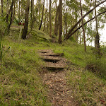 Timber steps near Mt Sugarloaf (324698)