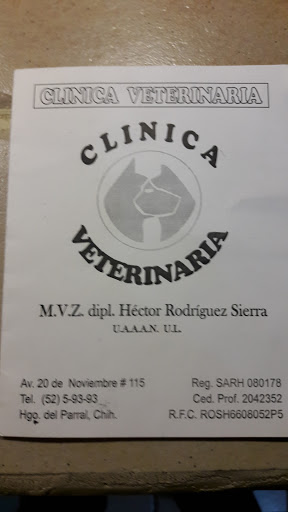 Veterinario Héctor Rodriguez Sierra, 33800, 20 de Nov. 115, Centro, Hidalgo del Parral, Chih., México, Cuidados veterinarios | CHIH