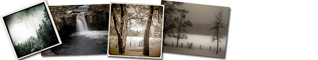 Cover photo