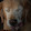 Aleks Hindin Aleks Hindin's profile photo