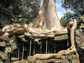 Ta Prohm