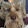 Kim Armstrong Kim Armstrong's profile photo