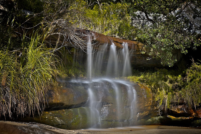 IMAGE: https://lh6.googleusercontent.com/-Iz2LsIDPyWA/TjUT2X3bnII/AAAAAAAAaAs/dV719r1UtM0/s800/IMG_3320.jpg