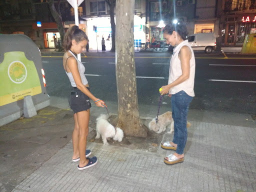 Freddo Pueyrredón
