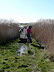 Flooded marshes at Iken