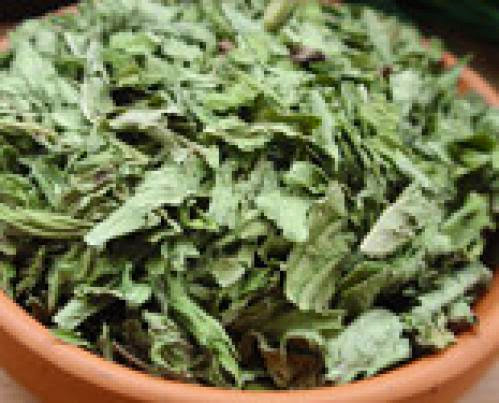 Organic Whole Mint Leaves Garden Mint Healing Money Protection Lust