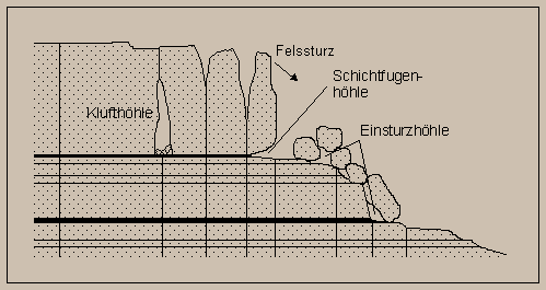 Höhlenarten: