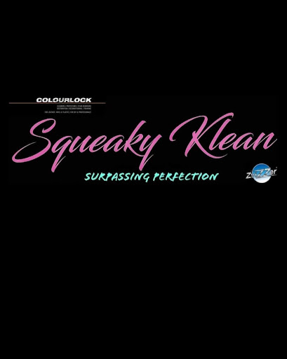 Squeaky Klean Detailing logo