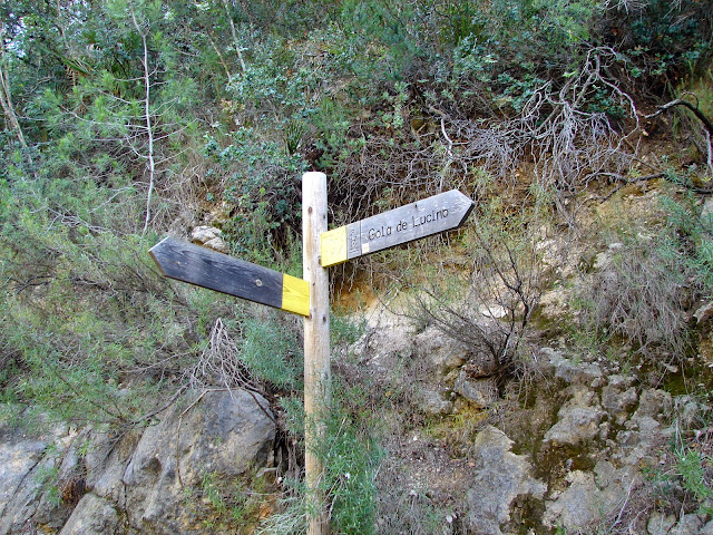 Senderismo - Cueva de la Araña - Gola de Lucino