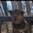 Dustin McCkuskey avatar image