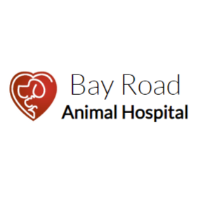 Bay Road Animal Hospital logo