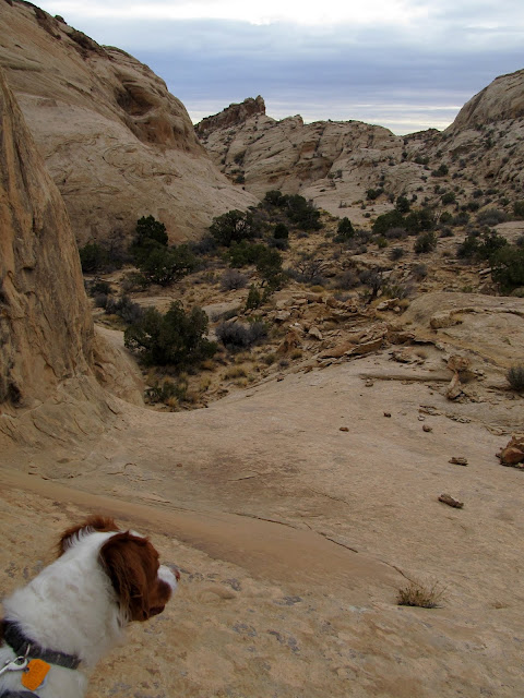 View down canyon #2