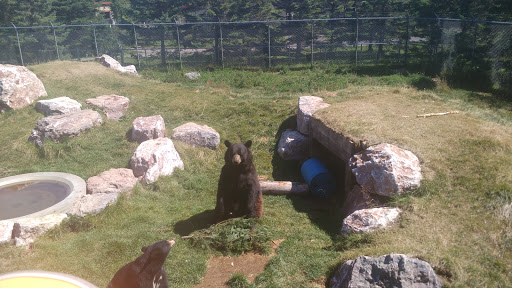 Bioparc de la Gaspésie - Bonaventure