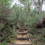 Wooden steps (47864)