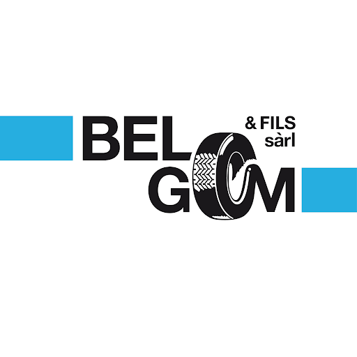 Bel-Gom & Fils Sàrl, succursale Aigle logo