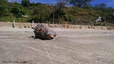 Photos of Casa Malinche, Playa Remanso