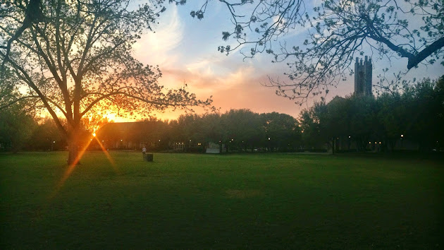 Cover photo