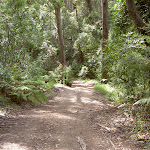 Graham Drive Track to Little Beach (20030)