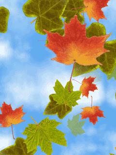Lišće jesenje download besplatne animacije za mobitele