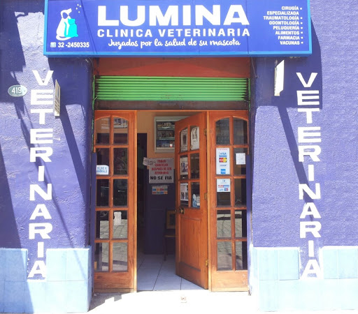 Lumina, Calle Simon Bolivar 419, Valparaíso, Región de Valparaíso, Chile, Cuidado veterinario | Valparaíso