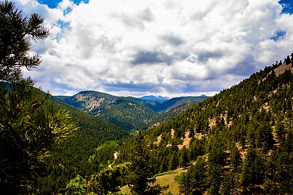 Slavin_120616_3463.jpg